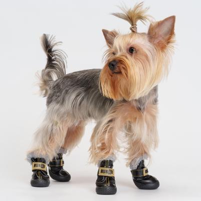 Ботинки с мехом для собак, L, черный – фото 1