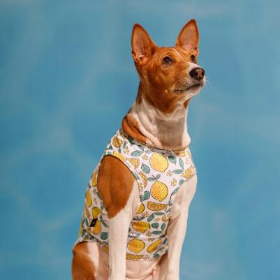 Футболка для собак и кошек, M, зелено-желтая с принтом – фото 4