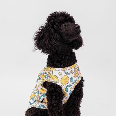 Футболка для собак и кошек, M, зелено-желтая с принтом – фото 5