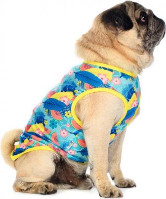Футболка для собак с цветами L бирюзовый (унисекс) – фото 4
