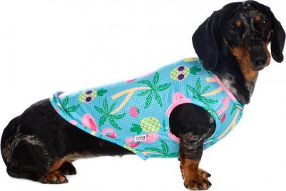 Футболка для собак с фламинго L голубой (унисекс) – фото 2