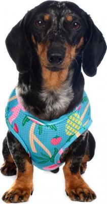 Футболка для собак с фламинго L голубой (унисекс) – фото 3