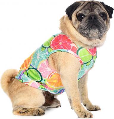 Футболка для собак с фруктами XL мятный (унисекс) – фото 3