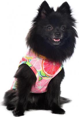 Футболка для собак с фруктами XL мятный (унисекс) – фото 5