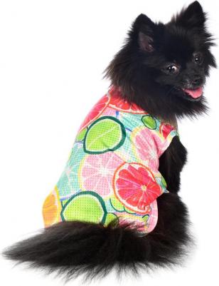 Футболка для собак с фруктами XL мятный (унисекс) – фото 6