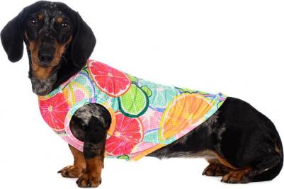 Футболка для собак с фруктами XL мятный (унисекс) – фото 7