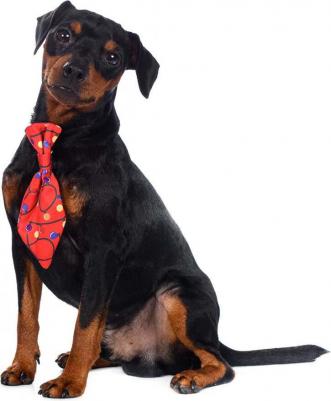 Галстук для собак красный светящийся Led