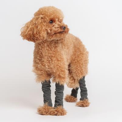 Гетры для собак, S, серый – фото 1