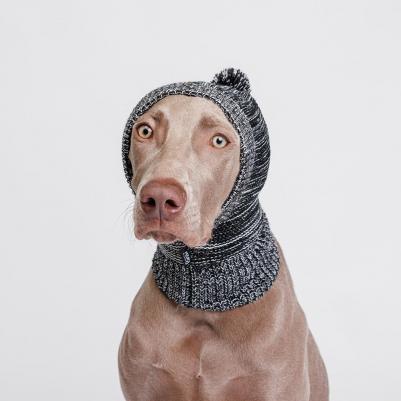 Капор для собак, 38х30 см, серый – фото 2