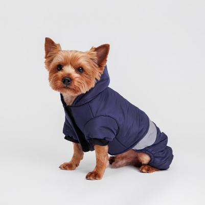 Комбинезон для собак, XS, синий – фото 3