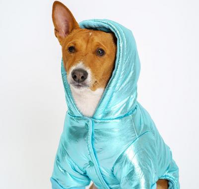 Комбинезон голубой металлик L – фото 2