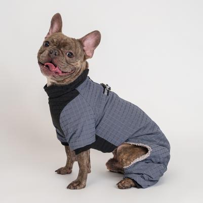 Комбинезон на замке для собак, L, синий