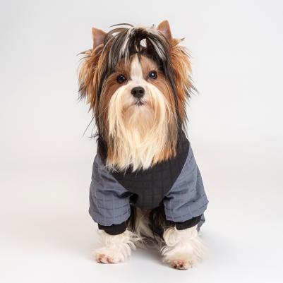 Комбинезон на замке для собак, XS, синий 4680368400238