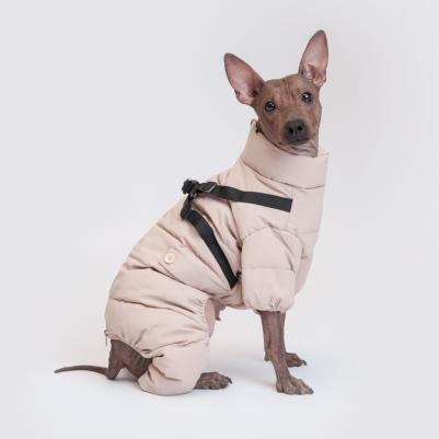 Комбинезон на замке со шлейкой для собак, XL, серый