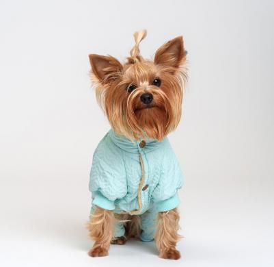 Комбинезон нежно голубой M – фото 1