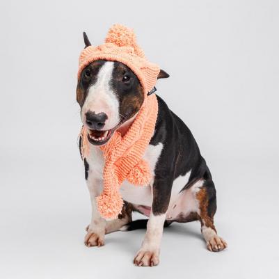 Комплект из шенилла для собак, шапка 18х16 см, шарф 60х8 см, персиковый – фото 5