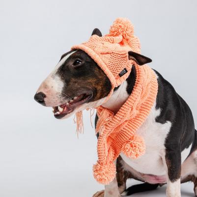 Комплект из шенилла для собак, шапка 18х16 см, шарф 60х8 см, персиковый – фото 7