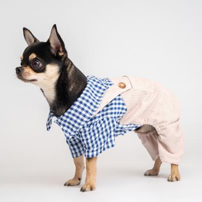 Костюм бежевый с рубашкой S – фото 4