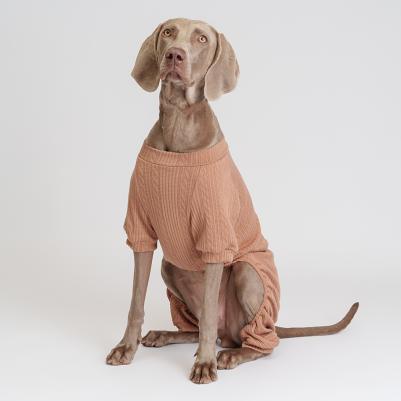 Костюм светлый трикотажный для собак, 4XL – фото 2
