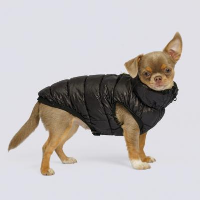 Куртка черно-салатовая ( в мешочке) M