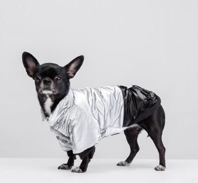 Куртка для собак, M, серебряная