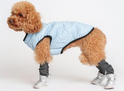Куртка на замке для собак, 2XL, голубая