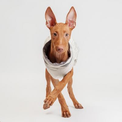 Куртка на замке для собак, 3XL, серая – фото 4