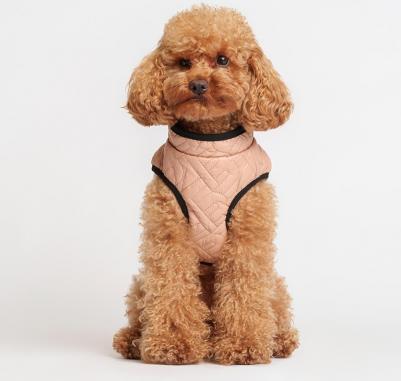 Куртка на замке для собак, L, бежевая – фото 5