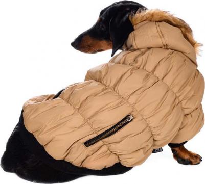 Куртка с меховым капюшоном для собак XS бежевый (унисекс) – фото 1