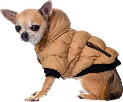 Куртка с меховым капюшоном для собак XS бежевый (унисекс)