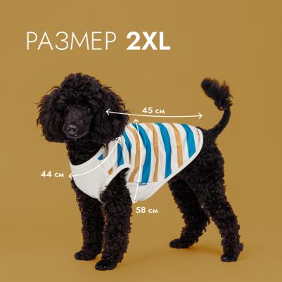 Майка для собак и кошек Аквамарин, 2XL, песочно-синяя в полоску – фото 2