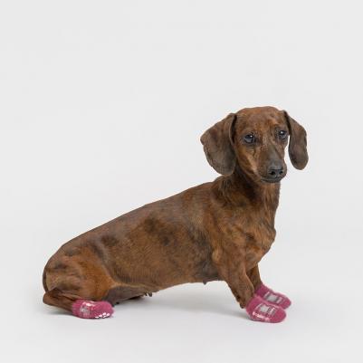 Носки для собак в клетку, XL, коричневые – фото 3