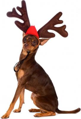 Ободок безразмерный для собак и кошек Рога оленьи коричневый (унисекс) 4680368212398