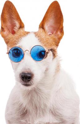 Очки солнечные для собак и кошек, голубые – фото 3