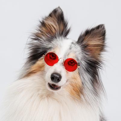 Очки солнечные для собак и кошек, красные – фото 2