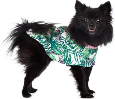 Рубашка для собак с листьями L зеленый (унисекс)