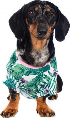 Рубашка для собак с листьями L зеленый (унисекс) – фото 6