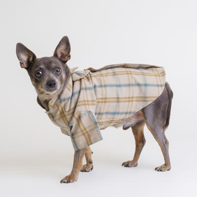 Рубашка кофейная с бантом XS – фото 2