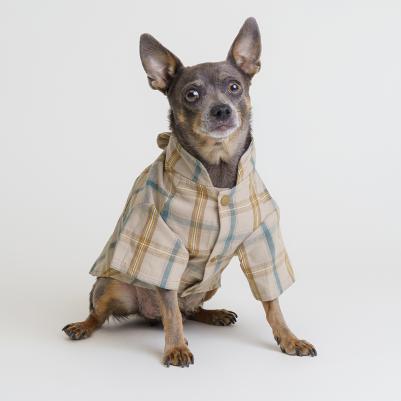 Рубашка кофейная с бантом XS