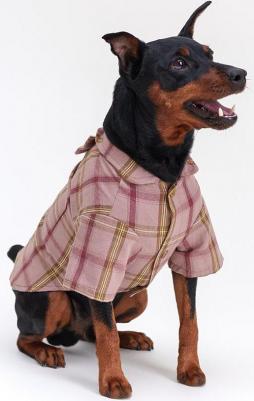 Рубашка красная с бантом L