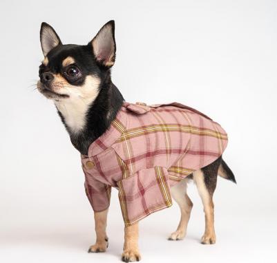 Рубашка красная с бантом XS – фото 5