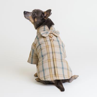 Рубашка с бантом для собак, L, кофейная – фото 4