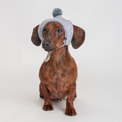 шапочка зимняя универсальная для собак, S, серый шелк (унисекс) – фото 2