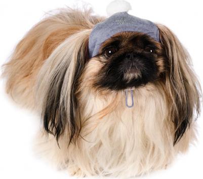 шапочка зимняя универсальная для собак, S, серый шелк (унисекс)