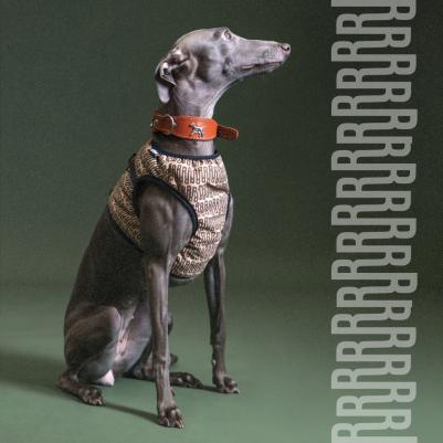 Шлейка-Жилетка Империал Обхват груди 40-45 см Обхват шеи 29-31 см – фото 2