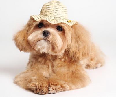 Шляпка соломенная 17см