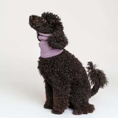 Снуд для собак, L, фиолетовый – фото 2