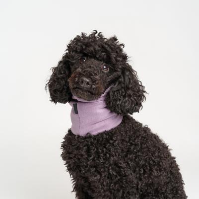 Снуд для собак, M, фиолетовый – фото 3