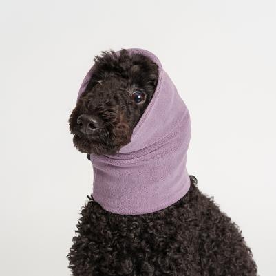 Снуд для собак, M, фиолетовый