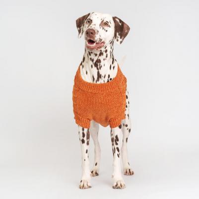 Свитер из шенилла для собак, 4XL, желтый – фото 9